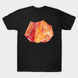 Amber T-Shirt